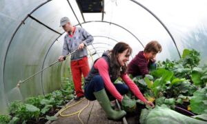 454997 Annina Romita