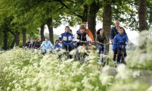 460090 598025 Thumb Large