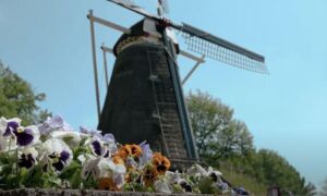 461188 lonnekermolen 1