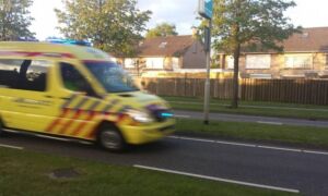 461372 243708 image 4898702 1