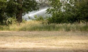 463154 Robin Hilberink water