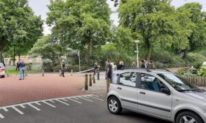 463577 25a2a02f 405f 4f74 917e 5231d18f02fd