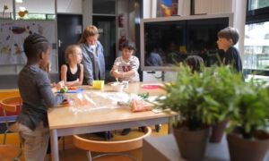 464050 still zomerschool