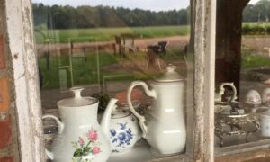 464100 Whats App Image 2020 07 09 at 235633 2020 08 29 003824 3