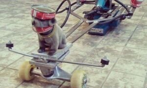 53921 powertoolrace