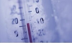 54176 thermometer vorst