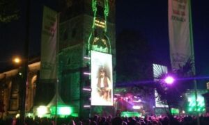 54295 grolsch feest 1
