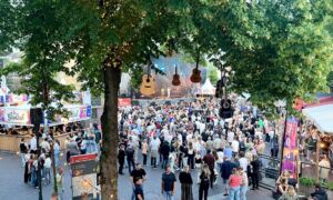 20250531 red roots festival lichter