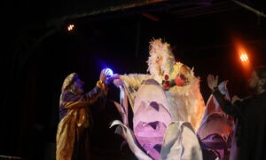 Mystiek 25 jaar Ingrid Ruiterman6