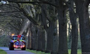 20250706 Eikenprocessierups bestrijding