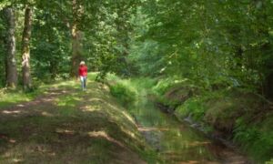Landschap overijssel het oosterveld