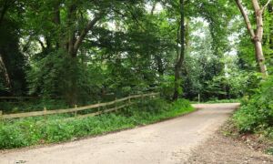 Omgevingsvisie rondweg Siemertweg