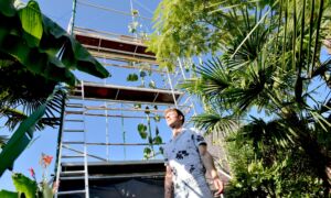 20250811 Jeroen zonnebloem record 1