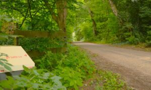 Omgevingsvisie rondweg Tankenberg 1