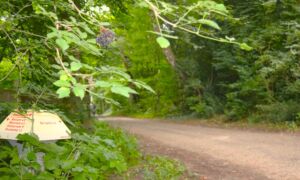 Omgevingsvisie rondweg Tankenberg 2