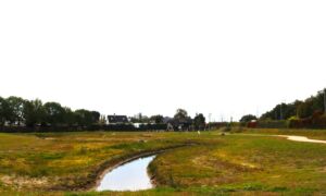 Waterrijk Glinde Hooiland 1