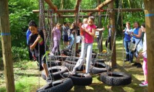 58662 junglebaan