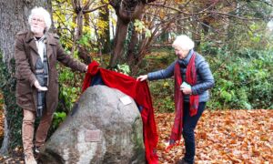Kreenk onthulling steen