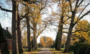 Foto laan twickel rtv oost