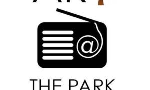 58991 art in the park