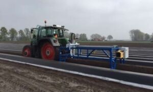 59770 aspergesteker Saxion