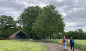 Heurnetocht