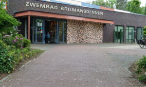 Brilmansdennen