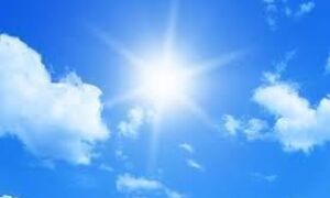 62050 zon