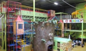63540 monkeytown