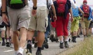 65071 vierdaagse