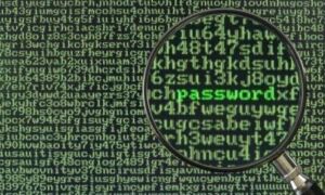 69516 hacken