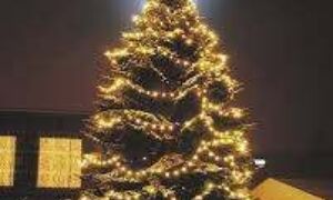 72154 kerstboom