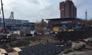82172 bomen Van Heekplein nieuw