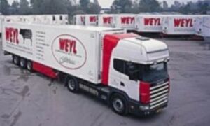 89626 weyl
