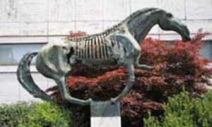 90068 bronzen paard
