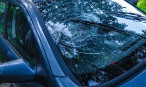 910ba28c e0ad 4bf7 9e83 b9df30319cbc