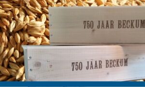 91249 Bierbanner11