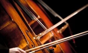 92204 orkest