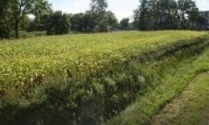 94466 93946 AZC terrein