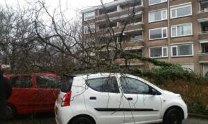 95799 vandeinselaan 1