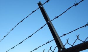 97592 barbed wire 482608 960 720