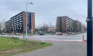 Afbeelding1 2022 04 06 143308 tzkt