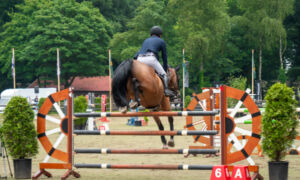 Almelose Ruiterdagen 2 20240618