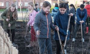 Beien tiny forest Ernst Bergboer
