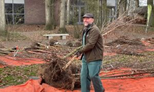 Bijlage Boomdeeldagen 2025 gemeente Wierden