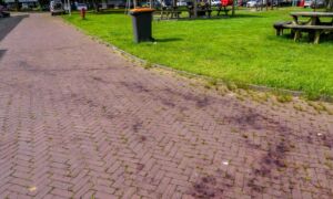 Bloedspoor in Enschede Dennis Bakker News United