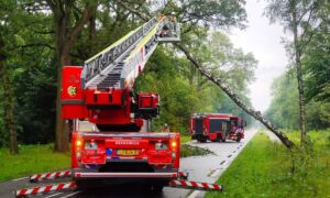 Boom die bijna omvalt Brandweer Weerseloseweg Enschede Dennis Bakker