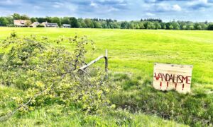 Boomvandalisme Denekamp