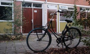 Boswinkel 3 Ernst Bergboer