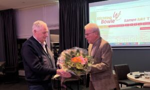 Bowie presentatie website